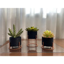 Kit 3 Vasos Cachepot Mini Decorativo Mini Cactos Suculentas Plantas Artificiais Naturais Decoração Sala Escritório