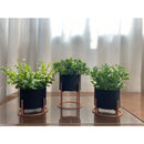 Kit 3 Vasos Cachepot Mini Decorativo Mini Cactos Suculentas Plantas Artificiais Naturais Decoração Sala Escritório